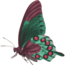 download Butterfly Papilio Philenor Side clipart image with 315 hue color