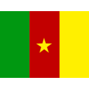 Flag Of Cameroon