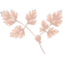 download Chervil clipart image with 45 hue color