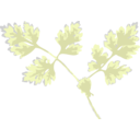 download Chervil clipart image with 90 hue color