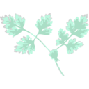 download Chervil clipart image with 180 hue color