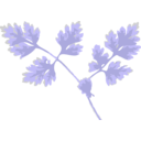 download Chervil clipart image with 270 hue color