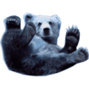download Grizzly Bear 1 clipart image with 180 hue color