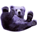 download Grizzly Bear 1 clipart image with 225 hue color