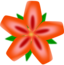 Red Flower