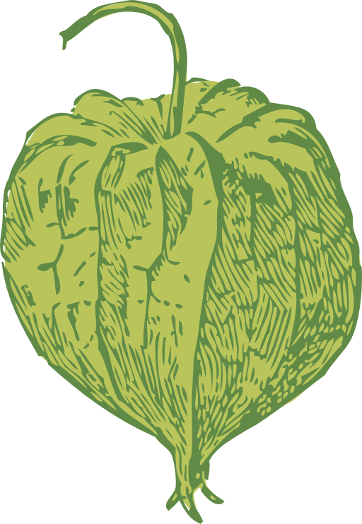 Tomatillo
