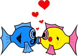 Fish In Love