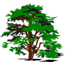 download Simple Vector Tree clipart image with 0 hue color