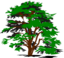 Simple Vector Tree