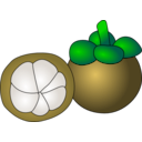 download Mangosteen clipart image with 45 hue color