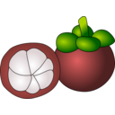 Mangosteen