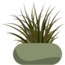 download Potted Grass clipart image with 315 hue color