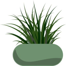 Potted Grass