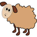 Confused Sheep