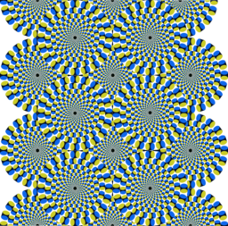 Optical Illusion 4