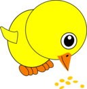 Funny Chick Eating Bird Seed Cartoon