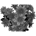 Flowers In Greyscale