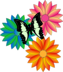 Butterfly And Flowers