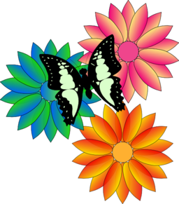 Butterfly And Flowers