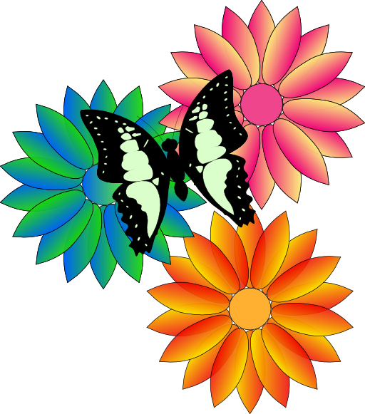 Butterfly And Flowers