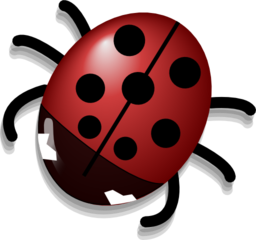 Ladybug