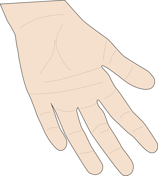 Hand