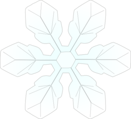 Snowflake1