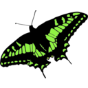 download Butterfly clipart image with 45 hue color