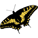 download Butterfly clipart image with 0 hue color