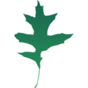 download Leaf Oak Green clipart image with 90 hue color