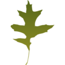 download Leaf Oak Green clipart image with 0 hue color