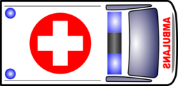Ambulans Romus 01