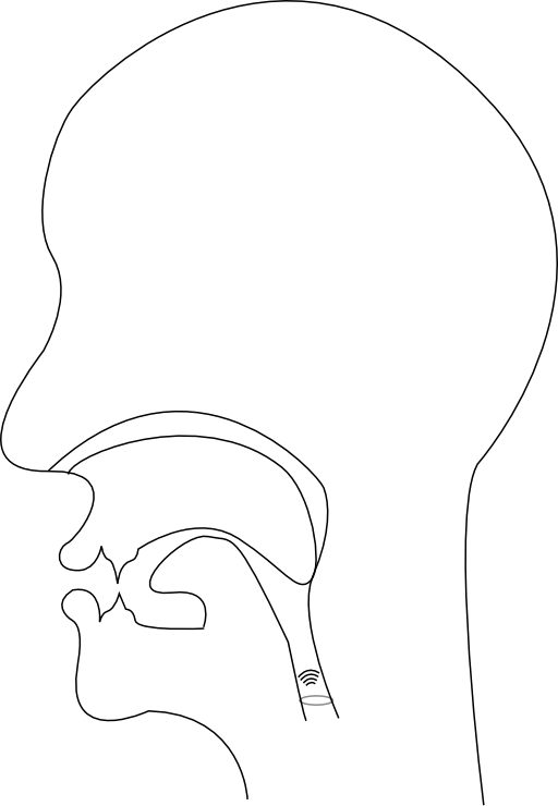 Midsagittal R Voiced Retroflex Approximant