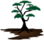 Tree 001