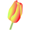 download Tulip Flower clipart image with 0 hue color