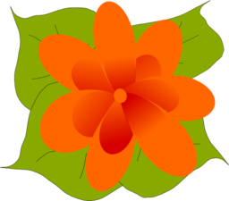 Flower3
