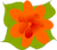Flower3