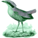 download Pitta Elliotii clipart image with 90 hue color