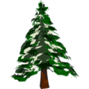 Winter Tree 1
