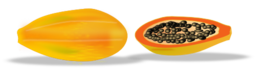 Papaya Sliced