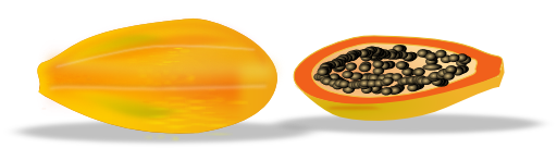 Papaya Sliced