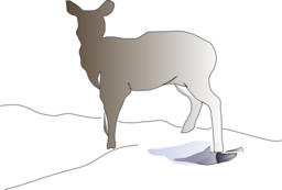 Deer Clipart