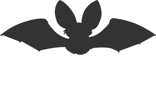 Bat Silhouette Icon