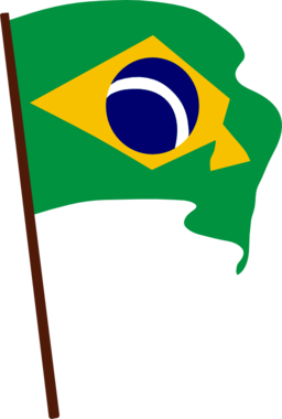 Flag Of Brazil