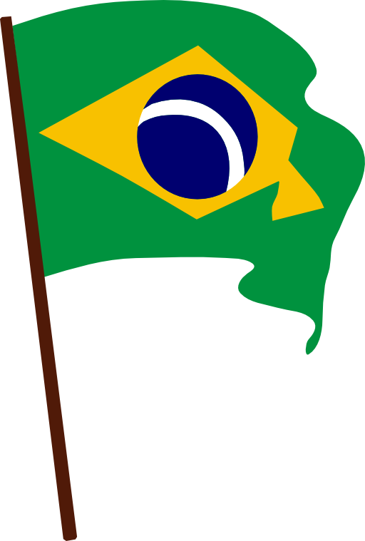 Flag Of Brazil