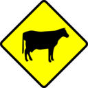 Caution Cows Crossing