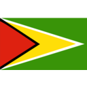 Flag Of Guyana