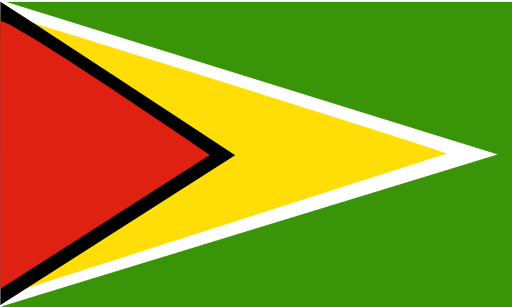 Flag Of Guyana