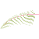 download Leaf Of Coconut Tree clipart image with 315 hue color