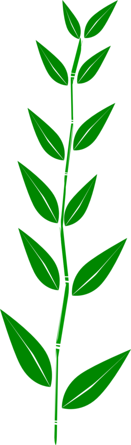 Bamboo Leaf